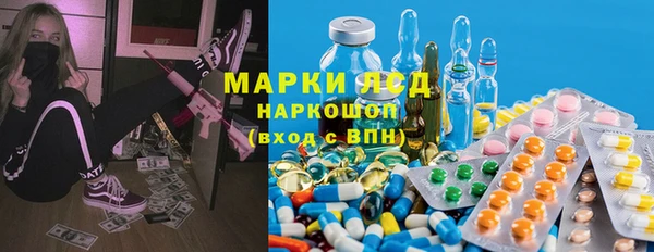 шишки Бронницы